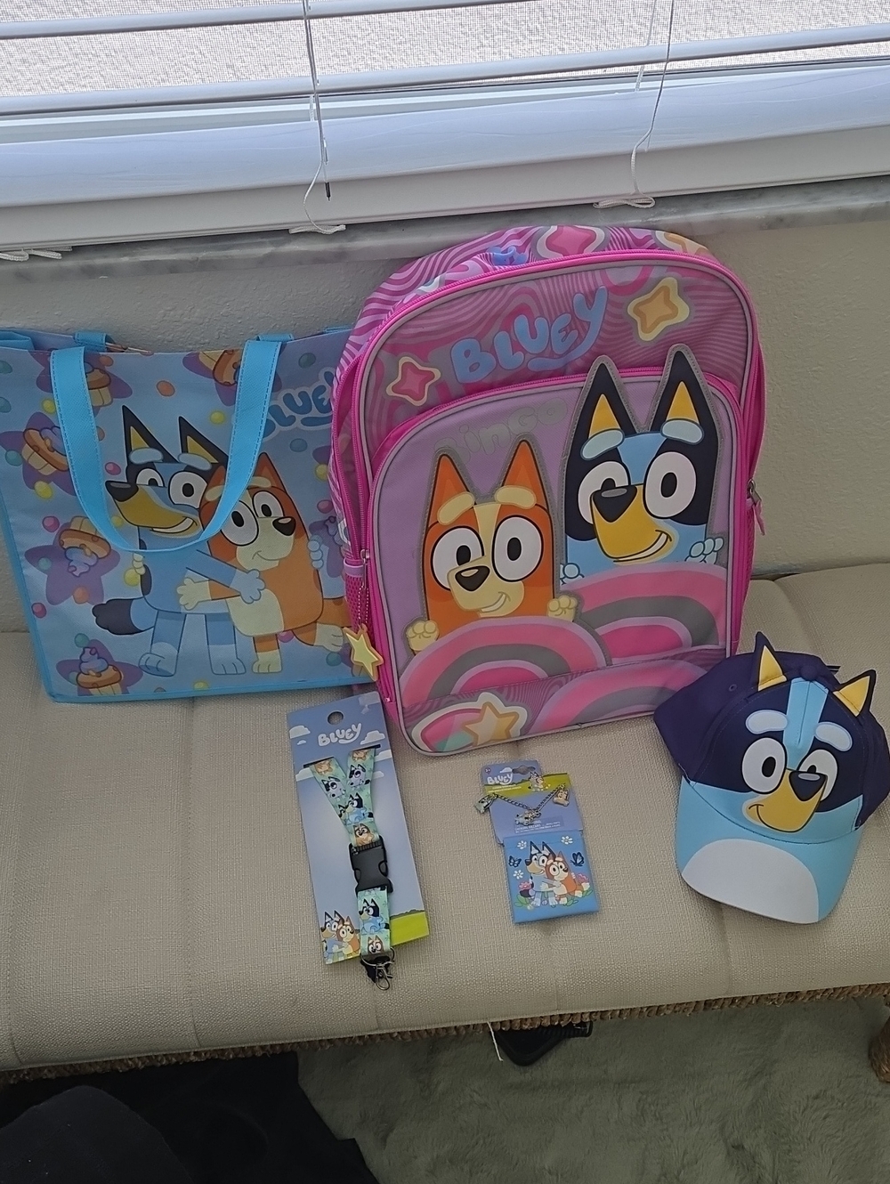 Lucy Bluey Blue and Bingo Book Bag Pouch